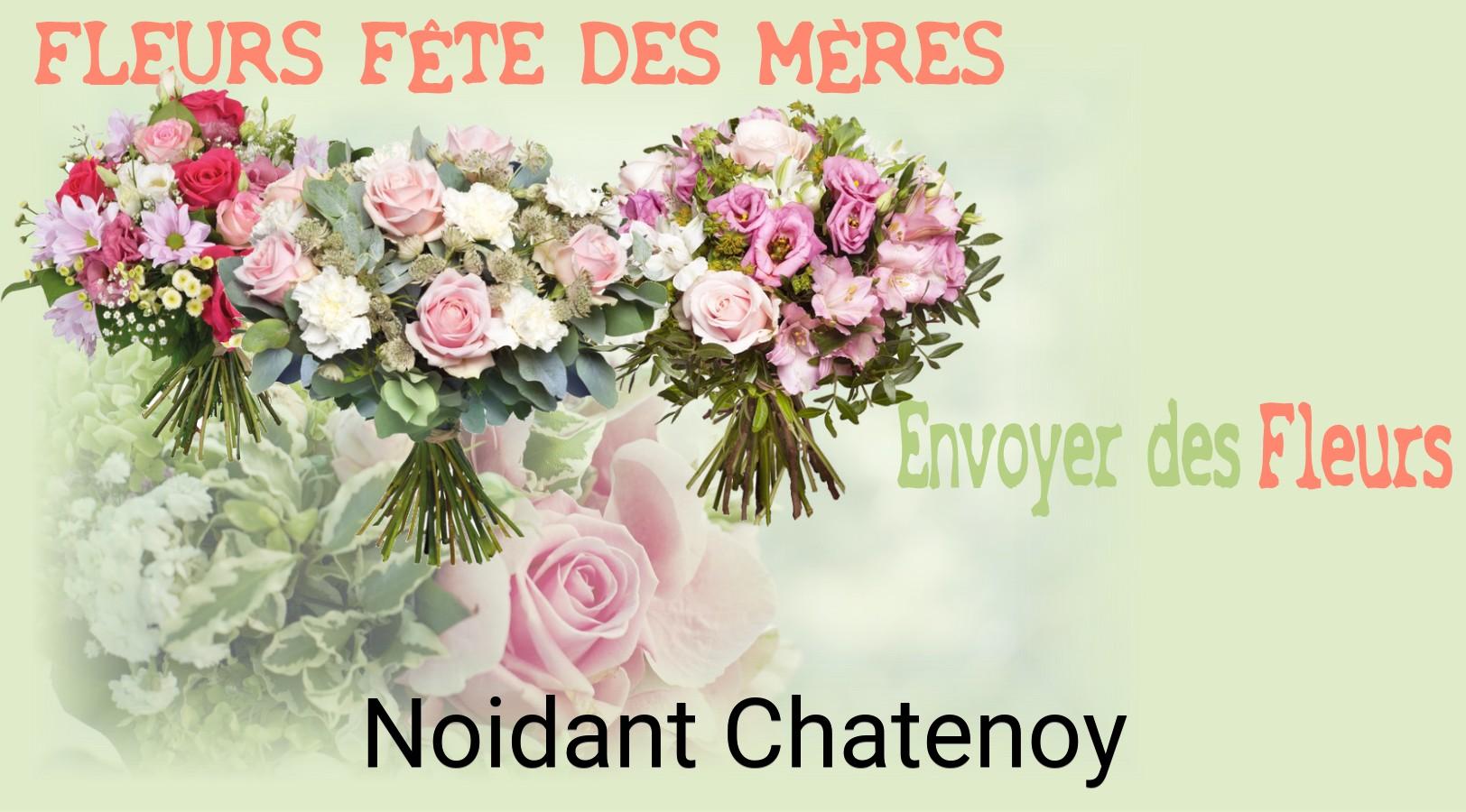 Bouquet de Fête des Mères livré à Noidant-Chatenoy